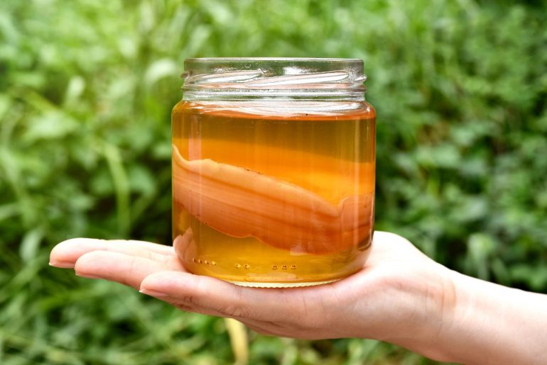 Kombucha – co to jest? Historia fermentowanego napoju